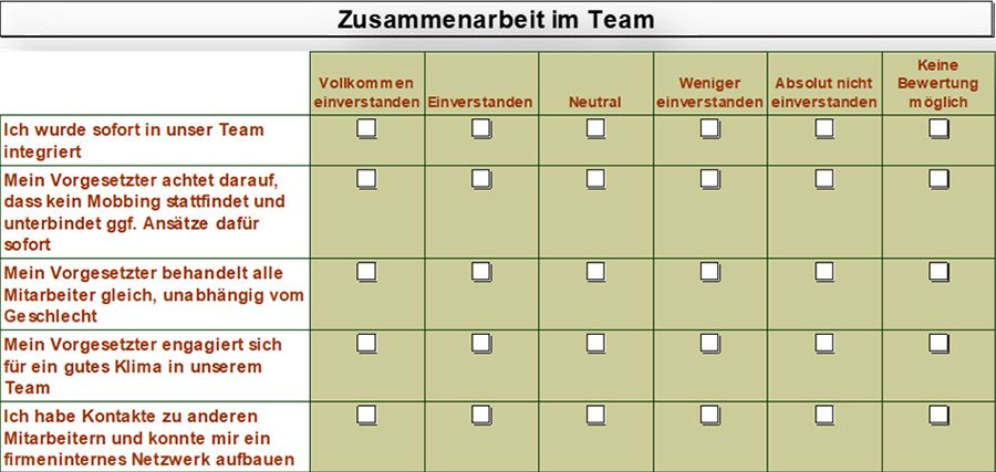 Likert Skala in einem Fragebogen zum Thema Team-Zusammenarbeit